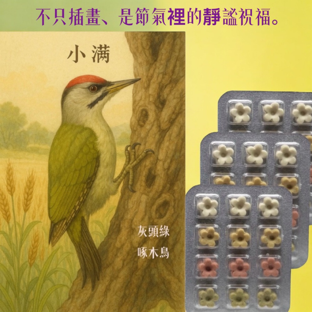 夏季節氣卡 +天然草本皂 讓香氣乘著鳥語飛進夏日 獨家首創插畫卡草本皂#洗手皂#隨身皂#防疫小物#療愈小物#香氛卡-規格圖9