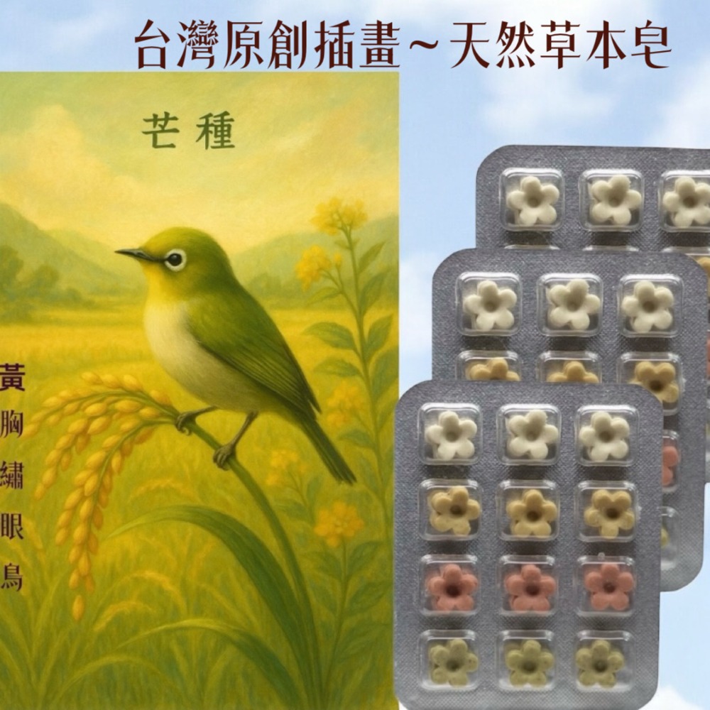 夏季節氣卡 +天然草本皂 讓香氣乘著鳥語飛進夏日 獨家首創插畫卡草本皂#洗手皂#隨身皂#防疫小物#療愈小物#香氛卡-規格圖9