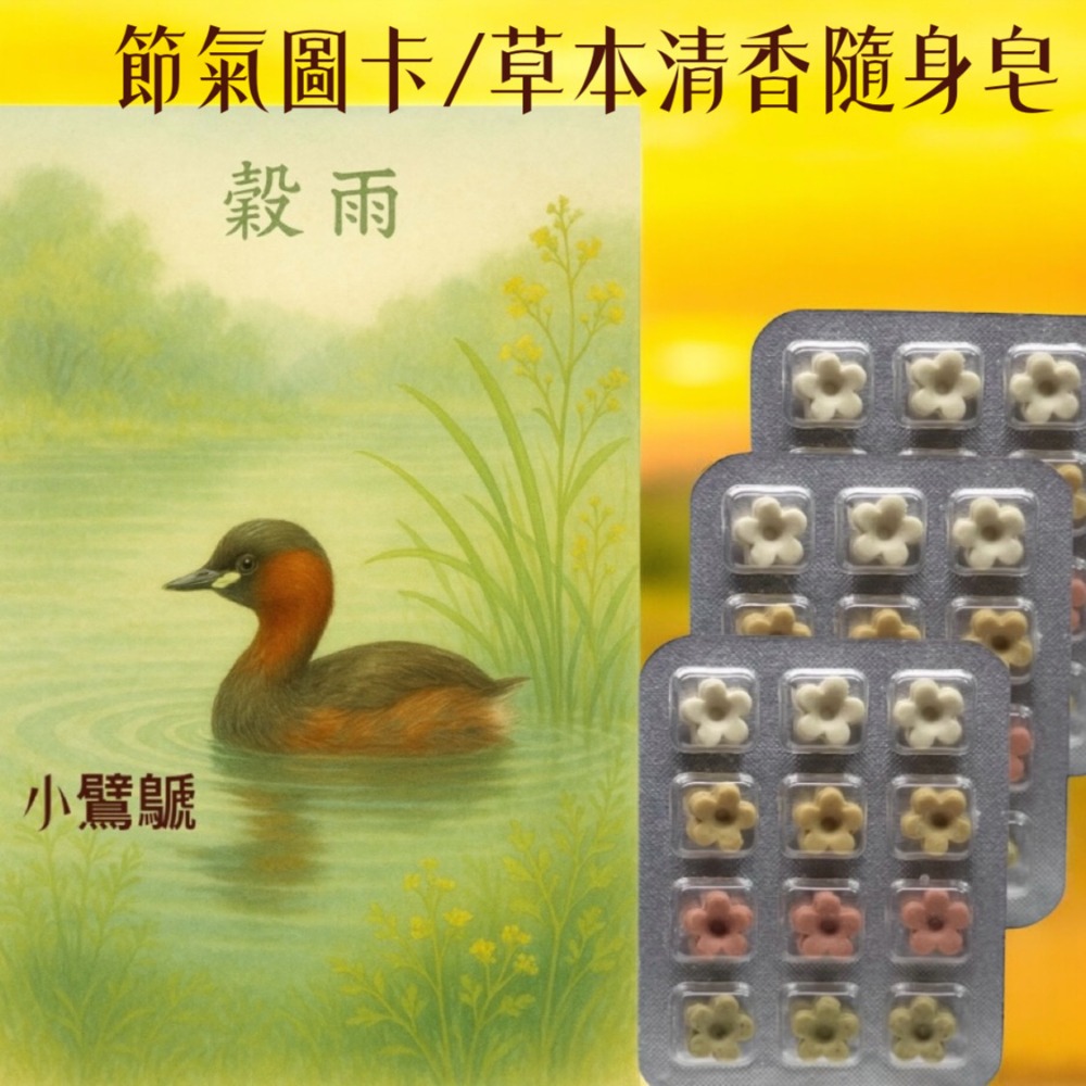 春季節氣插畫卡 草本皂 限量收藏款 天然植物香氣隨身 植粹草本皂#洗手皂#隨身皂#防疫小物#旅行皂#療愈小物#肥皂-規格圖8