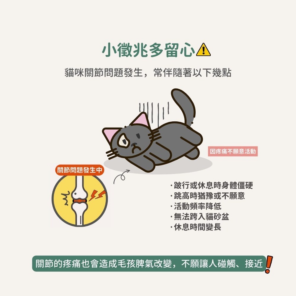 關於貓與我 × 高雄苓雅可店取｜【德國百年藥草之家-動物好朋友】貓用綠唇貽貝膠囊 高含量500mg-細節圖3