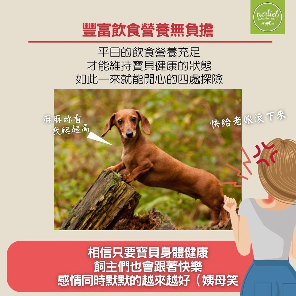 關於貓與我 × 高雄苓雅可店取｜【德國百年藥草之家-動物好朋友】大西洋深海鮭魚油-細節圖6