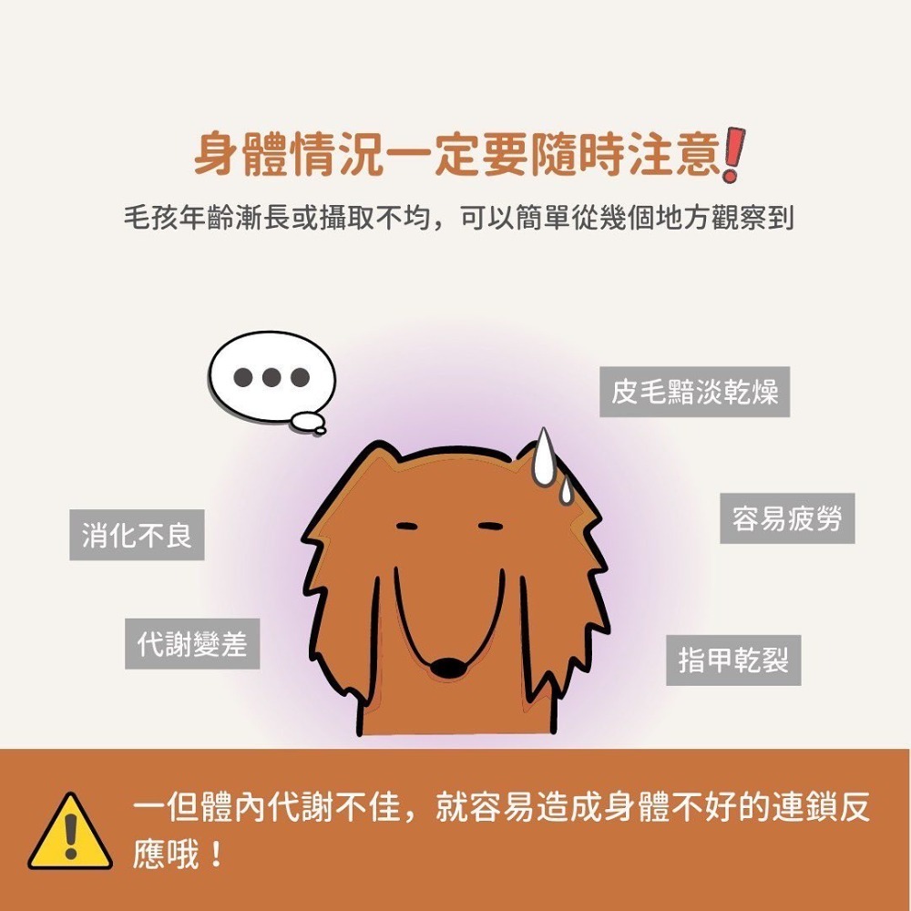 關於貓與我 × 高雄苓雅可店取｜【德國百年藥草之家-動物好朋友】啤酒酵母錠-細節圖2