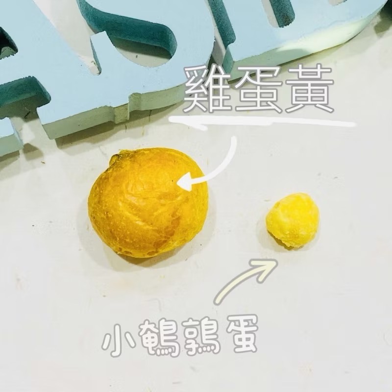 鵪鶉蛋 雞蛋黃 凍乾 蛋黃碎 貓零食 狗零食 凍乾 雞丁 寵物 凍乾 雞肉凍乾 鵪鶉蛋 雞蛋 冷凍乾燥-細節圖2