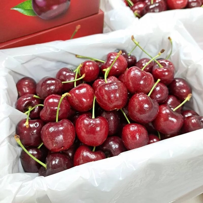 饗鮮樂活-嚴選加州櫻桃 _9.5R (1kg/盒) 【禮盒附提袋】-細節圖2