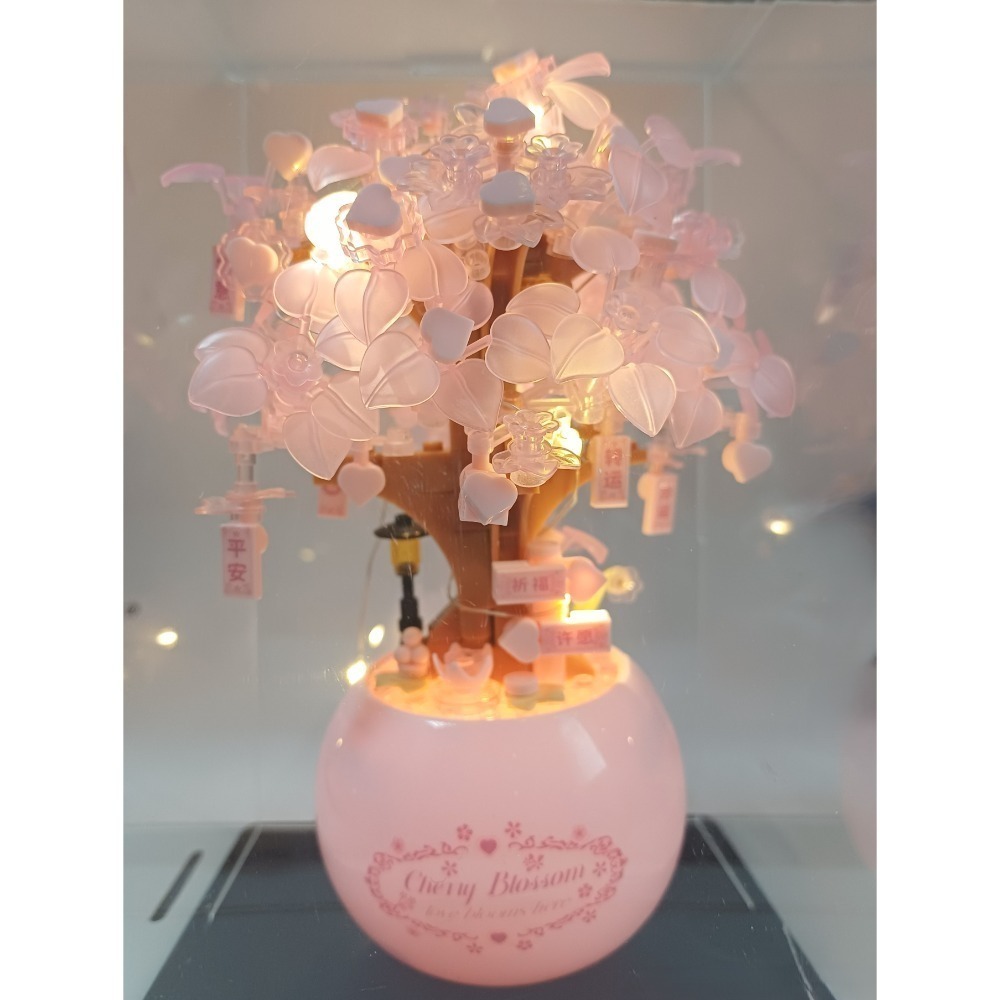 櫻花之戀 含燈光+壓克力罩