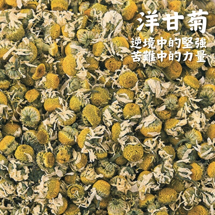 【洋甘菊10克裝】乾燥花香料包