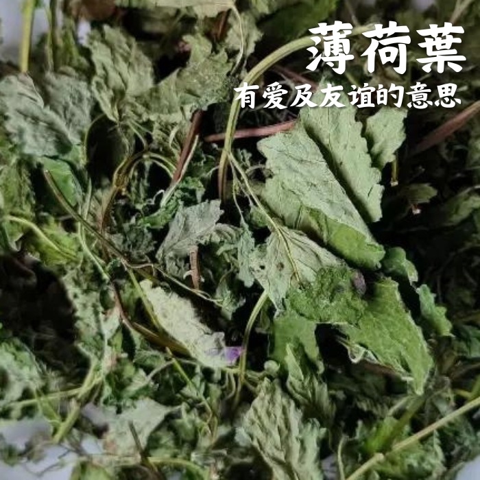 🌟【高田生活】現貨 乾燥花 永生花 香包材料 乾花 花瓣 花蕾 香包香囊 擴香包 七色花 無紡布袋 避邪 乾花補充包-規格圖11