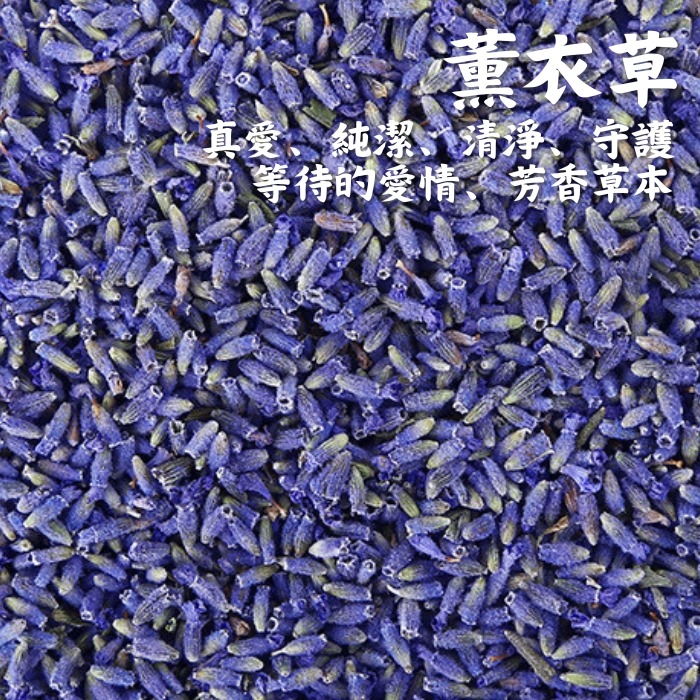 【薰衣草10克裝】乾燥花香料包