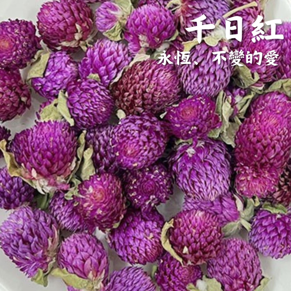 【千日紅10克裝】乾燥花香料包