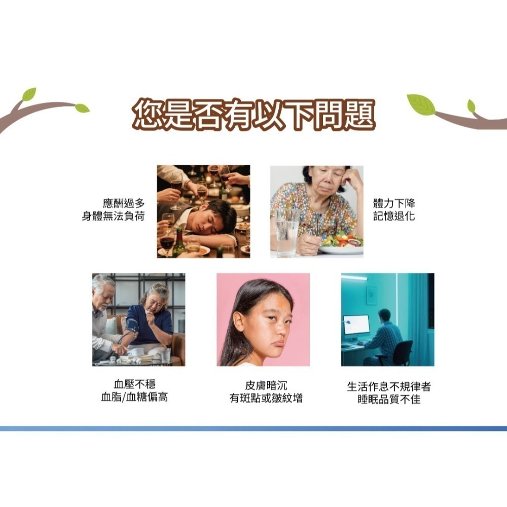 【虎達麥皂陪省團】智富強101 盛德信 保健品 保證公司貨-細節圖2