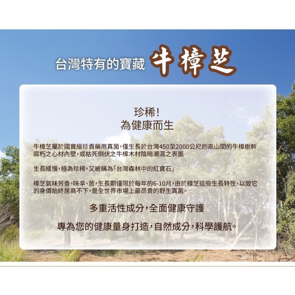 【虎達麥皂陪省團】智富強101 盛德信 保健品 保證公司貨-細節圖3