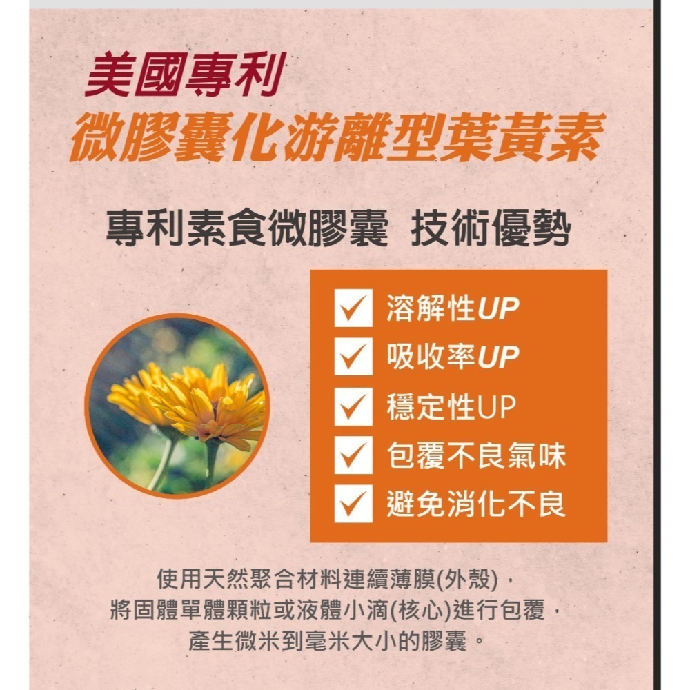 【虎達麥皂陪省團】富智明605 盛德信 保健品 保證公司貨-細節圖7