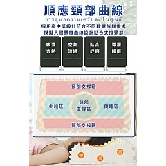 【虎達麥皂陪省團】三浦太郎-皇家泰國大象100%天然乳膠狼牙釋壓枕-細節圖6