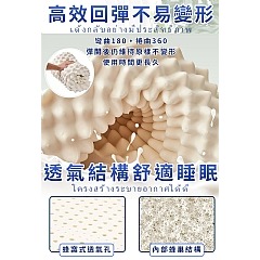 【虎達麥皂陪省團】三浦太郎-皇家泰國大象100%天然乳膠狼牙釋壓枕-細節圖7