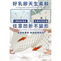 【虎達麥皂陪省團】三浦太郎-皇家泰國大象100%天然乳膠狼牙釋壓枕-細節圖9