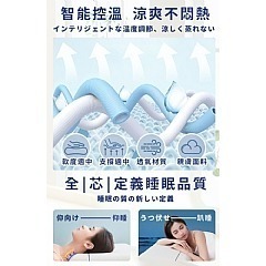 【虎達麥皂陪省團】【Hilton 希爾頓】雙枕芯沉睡記憶枕-細節圖6