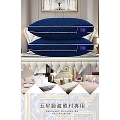 【虎達麥皂陪省團】【Hilton希爾頓】石墨烯6D可水洗蜂巢能量健康枕-細節圖4