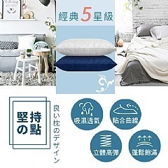 【虎達麥皂陪省團】【CERES 席瑞絲】石墨烯5D透氣健康枕頭/買一送一/二色任選-細節圖3