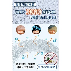 【虎達麥皂陪省團】【Hilton 希爾頓】石墨烯負離子空調能量枕-細節圖5