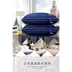 【虎達麥皂陪省團】【Hilton希爾頓】石墨烯銀離子煙酰胺美容沉睡枕-細節圖3