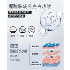 【虎達麥皂陪省團】【Hilton希爾頓】石墨烯銀離子煙酰胺美容沉睡枕-細節圖6