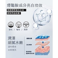 【虎達麥皂陪省團】【Hilton希爾頓】石墨烯舒寧助眠獨立筒枕-細節圖2