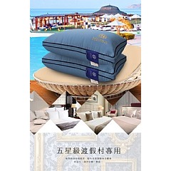 【虎達麥皂陪省團】【Hilton希爾頓】皇家頂級100支紗萊賽爾獨立筒枕(愛琴海藍)-細節圖4