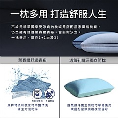 【虎達麥皂陪省團】【Hilton希爾頓】皇家頂級100支紗萊賽爾獨立筒枕(愛琴海藍)-細節圖6