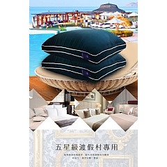 【虎達麥皂陪省團】【Hilton 希爾頓】 頂級麻藥100支紗萊賽爾獨立筒枕/寶石藍-細節圖4