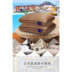 【虎達麥皂陪省團】【Hilton 希爾頓】 頂級麻藥銀離子100支紗萊賽爾獨立筒枕/卡其色-細節圖4