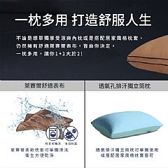 【虎達麥皂陪省團】【Hilton 希爾頓】 頂級麻藥銀離子100支紗萊賽爾獨立筒枕/卡其色-細節圖6