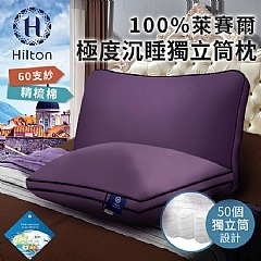 【虎達麥皂陪省團】【Hilton希爾頓】國際精品面料100%萊賽爾60支紗極度沉睡枕-細節圖2