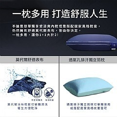 【虎達麥皂陪省團】【Hilton 希爾頓】皇家御用莫代爾銀離子獨立筒枕-細節圖6