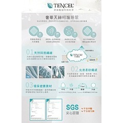 【虎達麥皂陪省團】【Hilton 希爾頓】皇家御用莫代爾銀離子獨立筒枕-細節圖8