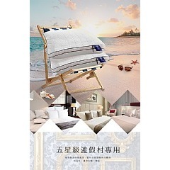 【虎達麥皂陪省團】【Hilton希爾頓】七星級極度舒適乳膠防螨獨立筒枕-細節圖5