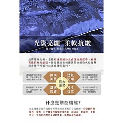 【虎達麥皂陪省團】【Hilton希爾頓】 翱翔星際抑菌獨立筒沉睡枕-細節圖6