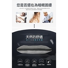 【虎達麥皂陪省團】Hilton希爾頓 -御用竹炭4D透氣雪花枕-細節圖3