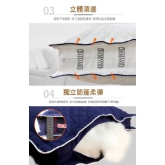 【虎達麥皂陪省團】【Hilton 希爾頓】VIP貴賓專用100%純棉銀離子抑菌獨立筒枕/2色-細節圖2