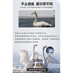 【虎達麥皂陪省團】【FlowerButterf 法蝶】100%天然水鳥羽毛健康四季薄被2.5公斤/冷氣被/涼被/能量被-細節圖4