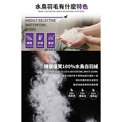 【虎達麥皂陪省團】【FlowerButterf 法蝶】100%天然水鳥羽毛健康四季薄被2.5公斤/冷氣被/涼被/能量被-細節圖5