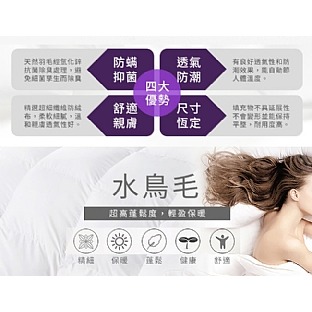 【虎達麥皂陪省團】【FlowerButterf 法蝶】100%天然水鳥羽毛健康四季薄被2.5公斤/冷氣被/涼被/能量被-細節圖8