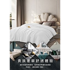 【虎達麥皂陪省團】【Hilton 希爾頓】銀離子超輕柔羽毛四季薄被2Kg/冷氣被/涼被/能量被-細節圖4