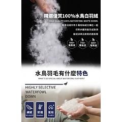 【虎達麥皂陪省團】【Hilton 希爾頓】銀離子超輕柔羽毛四季薄被2Kg/冷氣被/涼被/能量被-細節圖5