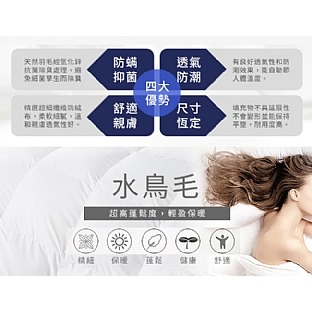 【虎達麥皂陪省團】【Hilton 希爾頓】銀離子超輕柔羽毛四季薄被2Kg/冷氣被/涼被/能量被-細節圖8