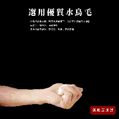 【虎達麥皂陪省團】飯店汽車旅館民宿日租客房專用/天然水鳥羽毛四季薄被2.5公斤/冷氣被/涼被/能量被-細節圖5