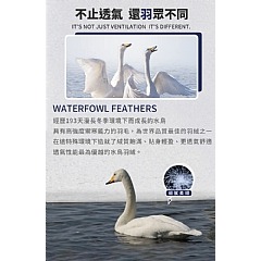 【虎達麥皂陪省團】超輕柔銀離子四季羽毛薄被2公斤/冷氣被/涼被/能量被-細節圖2