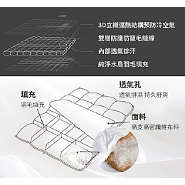 【虎達麥皂陪省團】超輕柔銀離子四季羽毛薄被2公斤/冷氣被/涼被/能量被-細節圖7
