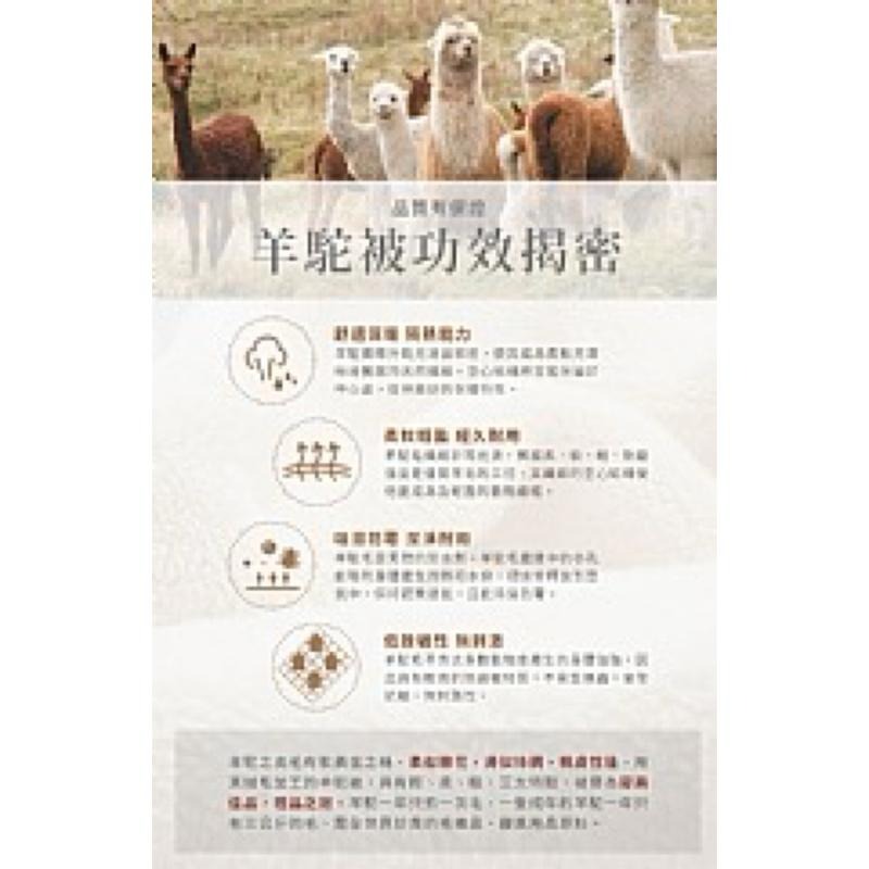 【虎達麥皂陪省團】出清價-量子導電紗100%駝羔羊毛健康被3kg 已放入購物車-細節圖2