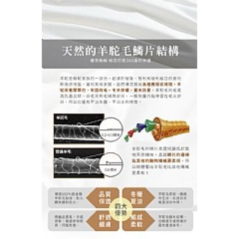 【虎達麥皂陪省團】出清價-量子導電紗100%駝羔羊毛健康被3kg 已放入購物車-細節圖4