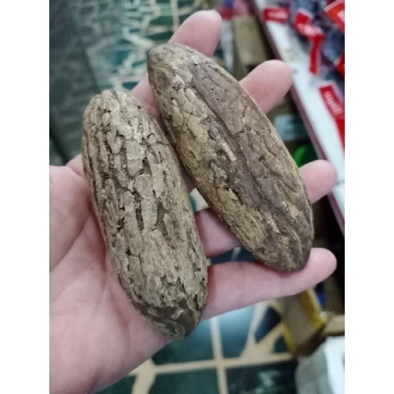 【虎達麥皂陪省團】💥熱銷優選💥現貨/8公分以上/大顆 千眼菩提子原籽/原料/菩提子 /文玩-細節圖3